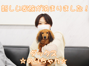 新しい家族が決まりました♪